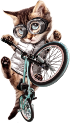 cat biker adventure - Killa-kam | Teevron